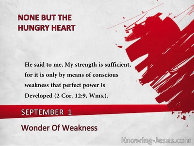 Wonder Of Weakness